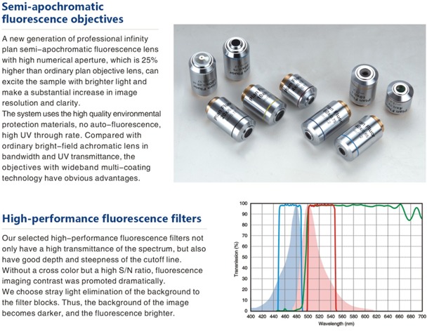 LED Fluorescence