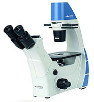 Invert Microscope