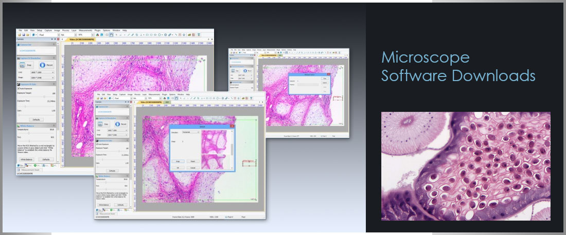 Llumins Microscope Software