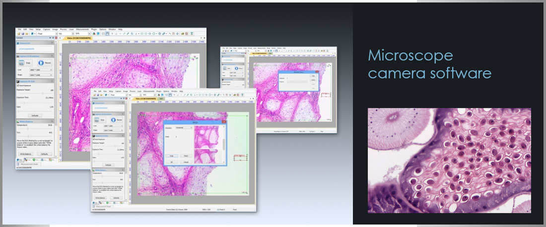 Llumins Camera Software