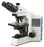 Vivid Microscope