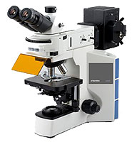 Vivid FLR Microscope